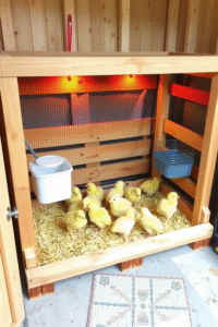 Pallet Wood Brooder